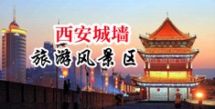 日逼视频免费登录观看中国陕西-西安城墙旅游风景区